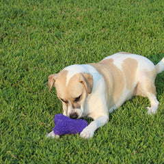 Jeffers Bone Shaped Fuzzy Squeaker Toy | Size L, 7.5 inch | Plush Dog Toy with Squeaker
