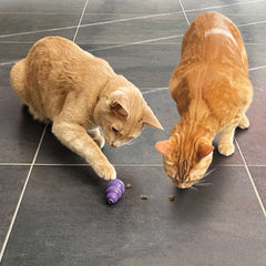 KONG Cat Nibbies Whitefish 2oz