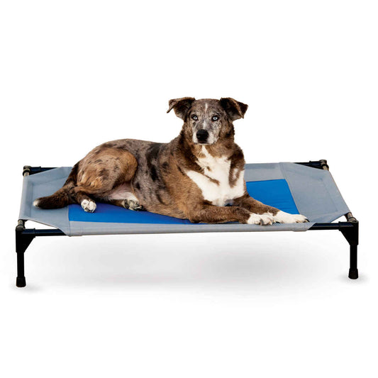 K&H Pet Products Coolin’ Pet Cot Large Gray / Blue 30″ x 42″ x 7″ – KH1676