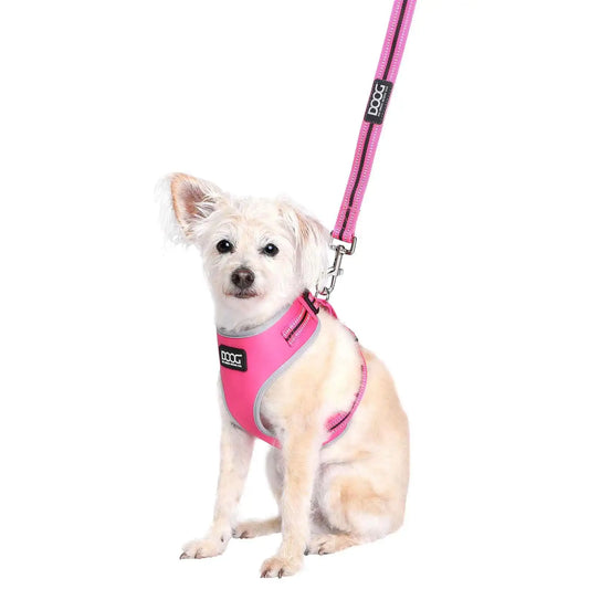 DOOG Neoprene Dog Leash Lady Neon Small Pink – LEADADY-S