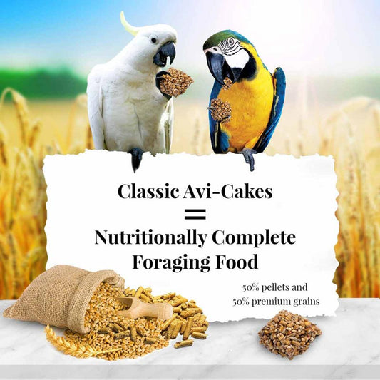 Lafeber Classic Avi-Cakes for Macaw & Cockatoo, 1 lb bag