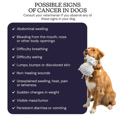 Oncotect Essential At-Home Dog Cancer Screening Test Kit