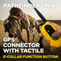 Dogtra Pathfinder2 Mini GPS E-Collar Yellow/Orange – PATHFINDER2-MINI