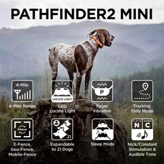 Dogtra Pathfinder2 Mini GPS E-Collar Yellow/Orange – PATHFINDER2-MINI