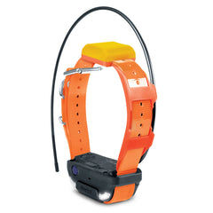 Dogtra Pathfinder2 TRX Extra Receiver Collar Orange – PATHFINDER2-TRX-RX-ORANGE