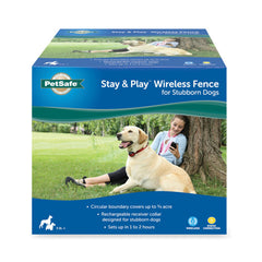 Stay + Play Wireless Fence for Stubborn Dogs
