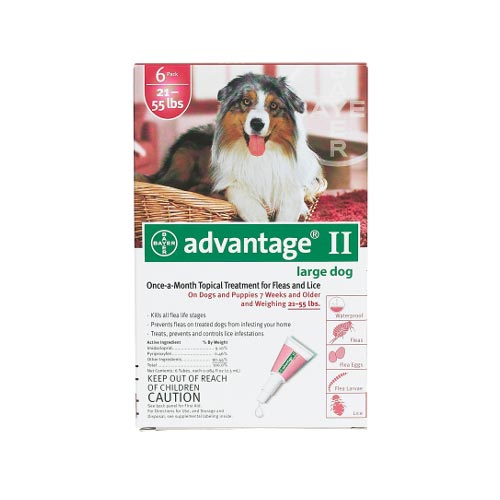 Advantage Flea Control for Dogs and Puppies 21-55 lbs 6 Month Supply – RED-55-6