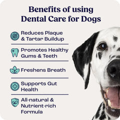 Summit Animal Helath Dental Care for Dogs, 1.43oz