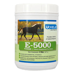 E-5000 Powder