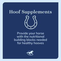 Hoof Biotin Powder, 18oz
