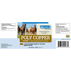 Poly Copper Powder