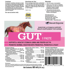 GUT Paste