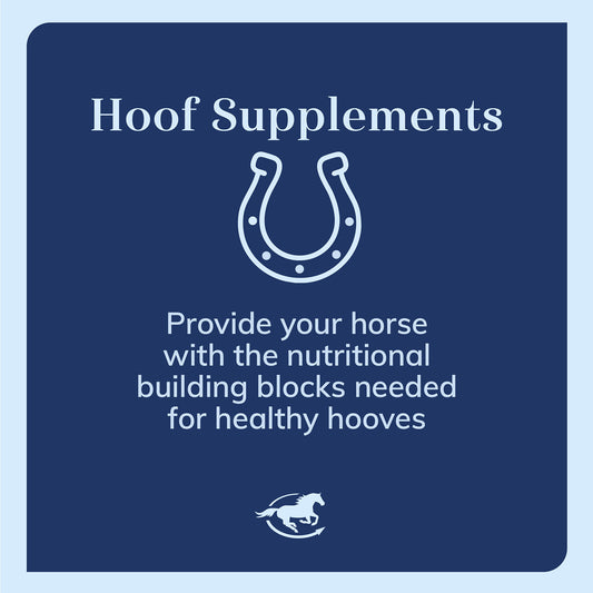 Hoof Biotin Powder, 6lbs