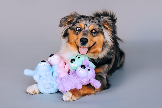 Multipet LaLoofa 6inch Plush Dog Toy