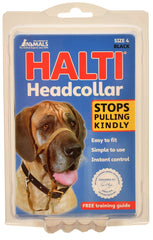Halti Original Headcollar, Black, Size 4