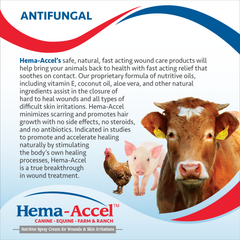 Hema-Accel Canine All Natural Wound Care Spray, 4oz
