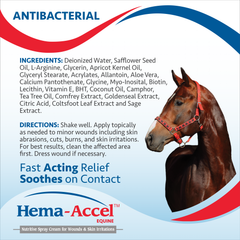 Hema-Accel Canine All Natural Wound Care Spray, 4oz