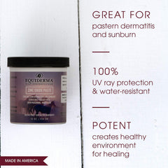 Equiderma Zinc Oxide Paste, 16oz