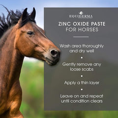Equiderma Zinc Oxide Paste, 16oz