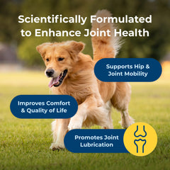 PetAg Dyne Soft Chews Joint Health & Mobility Chicken Liver Flavored 45 Count