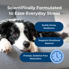 PetAg Dyne Soft Chews Calming Support and Stress Relief from Loud Noises, Travel & Separation Non-Sedative, Chicken Liver Flatvored, 60 Count
