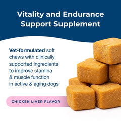 PetAg Dyne Soft Chews Endurance & Vitality Chicken Liver Flavored 60 Count