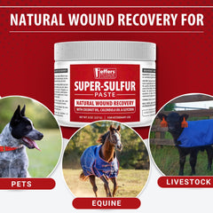 Jeffers Super Sulfur Natural Healing Paste for Dogs, Cats & Horses 8 oz – Wound Care, Skin & Coat Support for Animals, Soothes Itching & Inflammation, Dry Rough Flaky Skin, Hot Spots, Paw, Hoof Care
