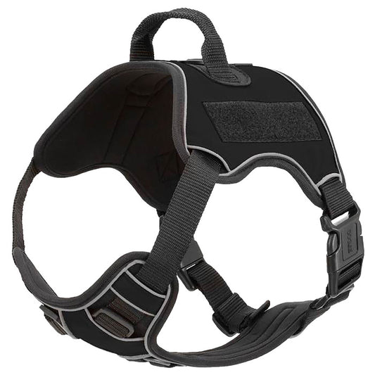 Quest Multi-Purpose Harness, XSmall Color: Black