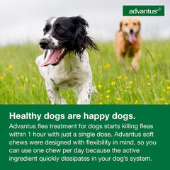 Advantus Soft Chew for Dogs 23-110 lb, 37.5mg, 7 count