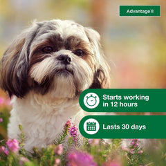 Advantage II Dogs 3-10# - 4pk