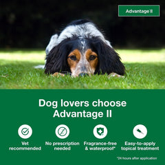 Advantage II Dogs 11-20# - 4pk