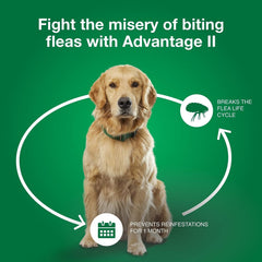Advantage for Dogs 11-20lb - 6pk