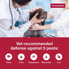 K9 Advantix II, Dogs 55 lbs & Over, 6 pack
