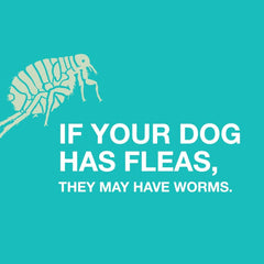 Tapeworm Dewormer for Dogs, 5 tablets