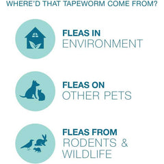 Tapeworm Dewormer for Dogs, 5 tablets