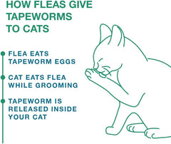 Tapeworm Dewormer for Cats, 3 tablets