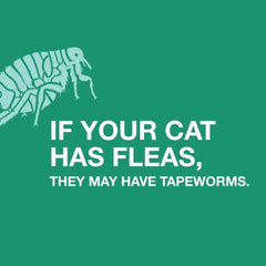 Tapeworm Dewormer for Cats, 3 tablets