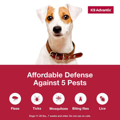 K9 Advantix Medium Dog 2pk