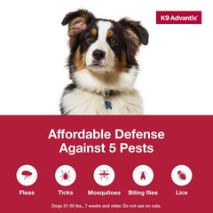 K9 Advantix Large Dog 2pk