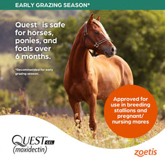Quest Gel, 3ct