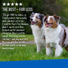 ADAMS Plus Flea & Tick Prevention Spot On for Dogs, X-Large Dogs 61 to 150 lbs, 3 months