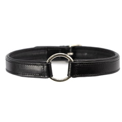 Jeffers Premium Padded Black Leather Dog Collar, 1" x 26"– Nickel Plated Buckle, Comfortable Pet Collar, Walking, Training, Leash Attachment, Safe, Stylish, Cute Gift for Dogs, Everyday Use