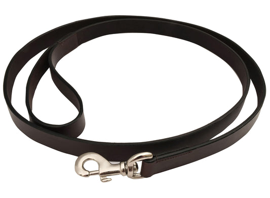 Jeffers Premium Flat Leather Leash, 5/8" x 6'