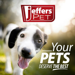 Jeffers Pet Animal Cuddlers Plush Squeaky Dog Toy, 8 in - Gray Husky
