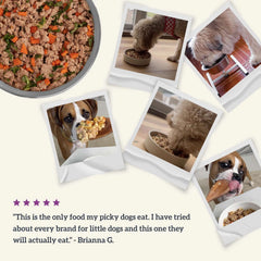 Gently Cooked Grain Free Vegetarian Recipe Pouches for Dogs -3oz