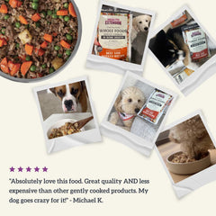 Gently Cooked Lamb & Carrot Recipe Pouches for Dogs -9oz
