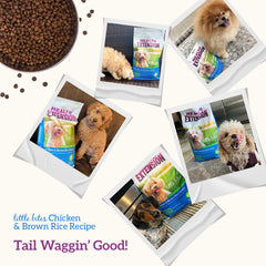 Health Extension Little Bites Chicken & Brown Rice Recipe Dry Dog Food 18lb