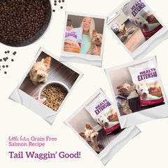 Health Extension Grain Free Salmon Little Bites Dry Dog Food 12lb