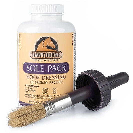 DermaBenSs Medicated Antimicrobial Shampoo for Dogs, Cats & Horses