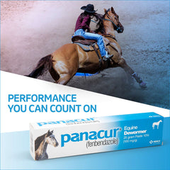 Panacur Dewormer Horse Paste 10%, 100mg 2 Pack